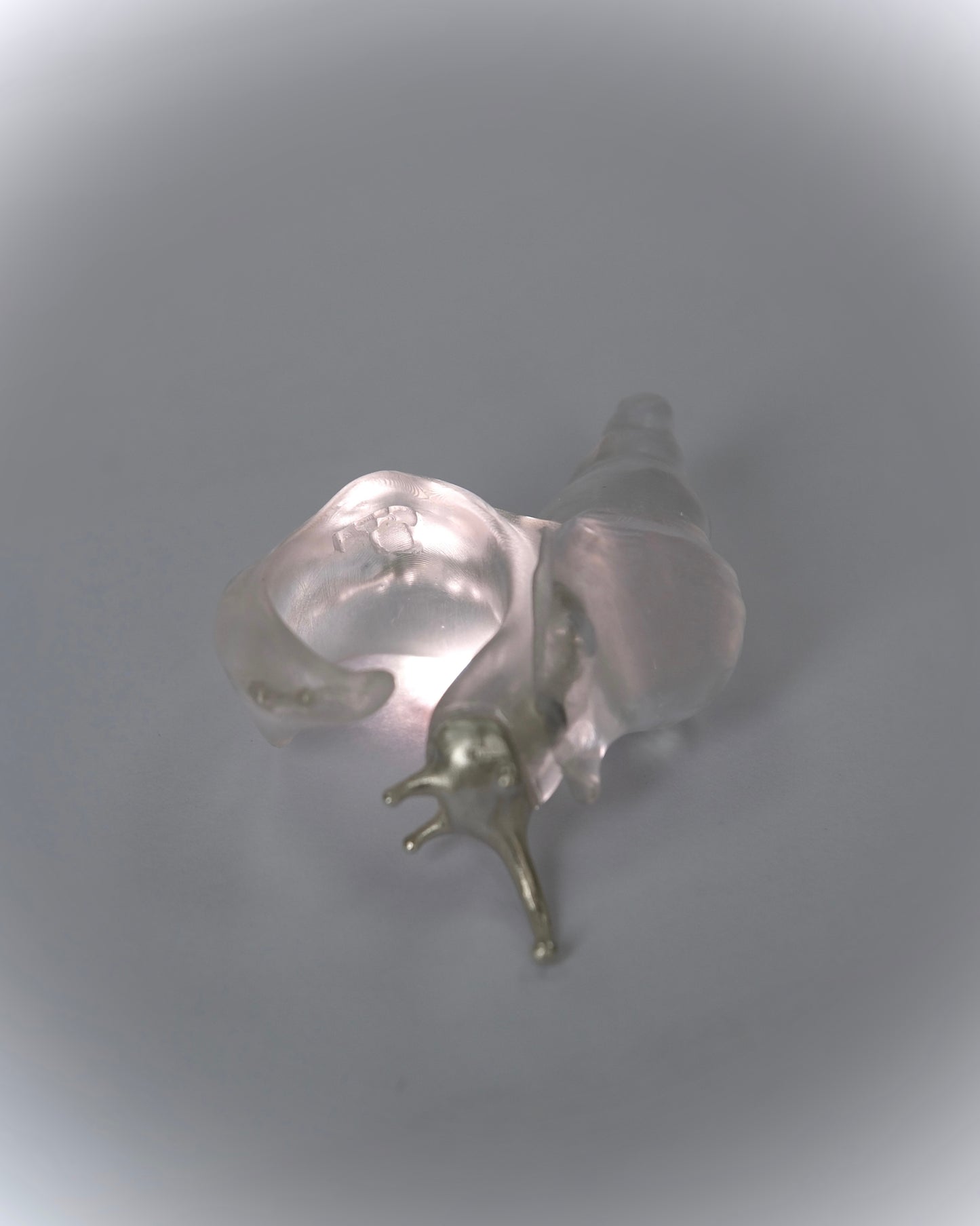 Silver spine snail ring