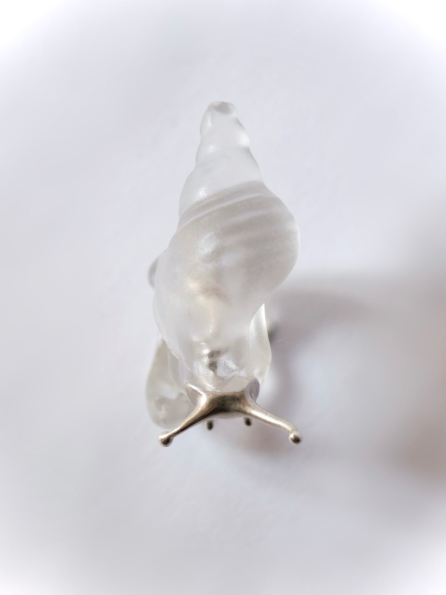 Silver spine snail ring