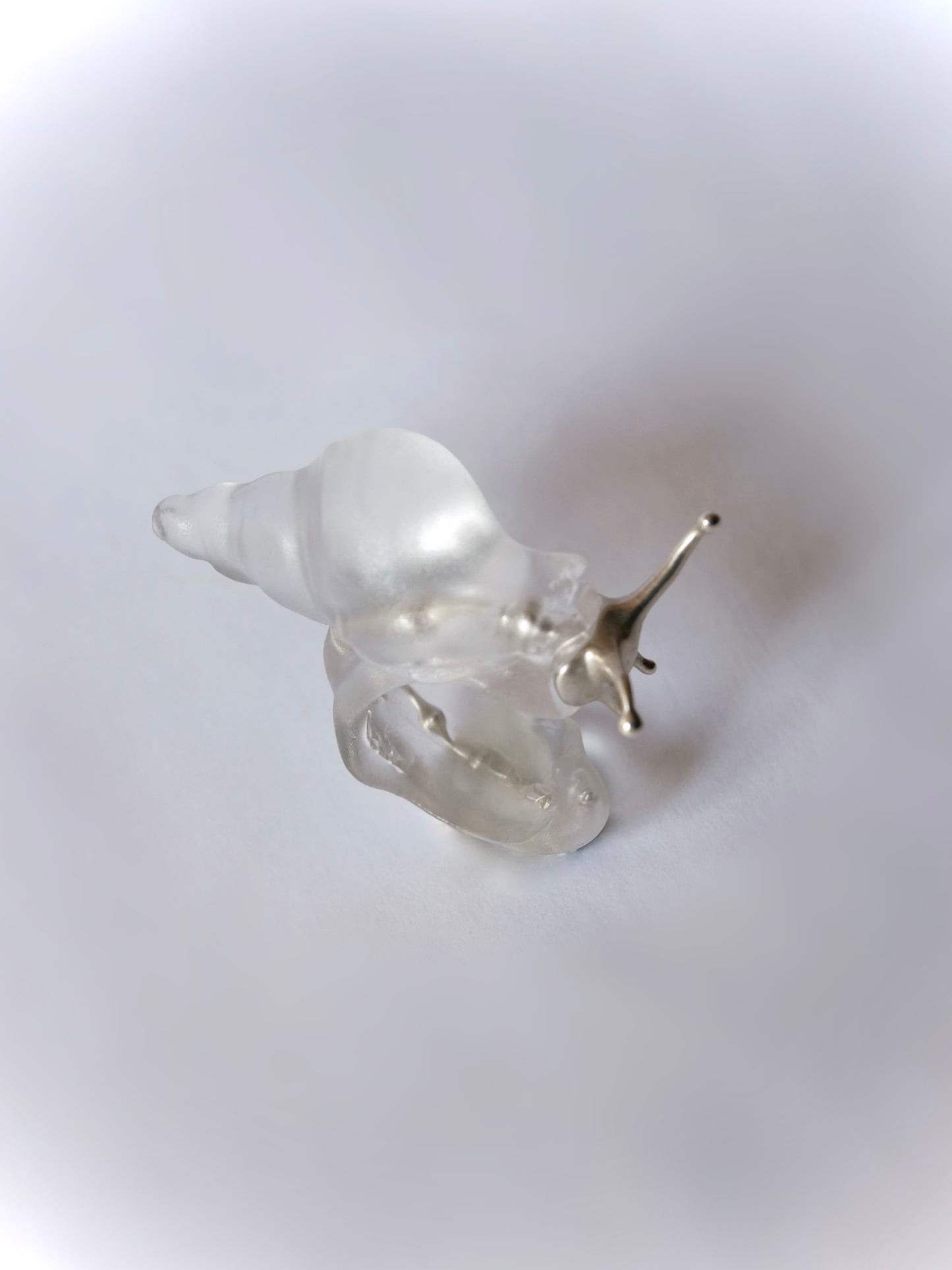 Silver spine snail ring