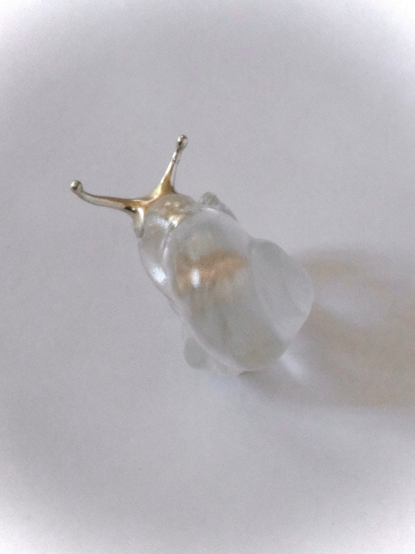 Silver spine snail ring