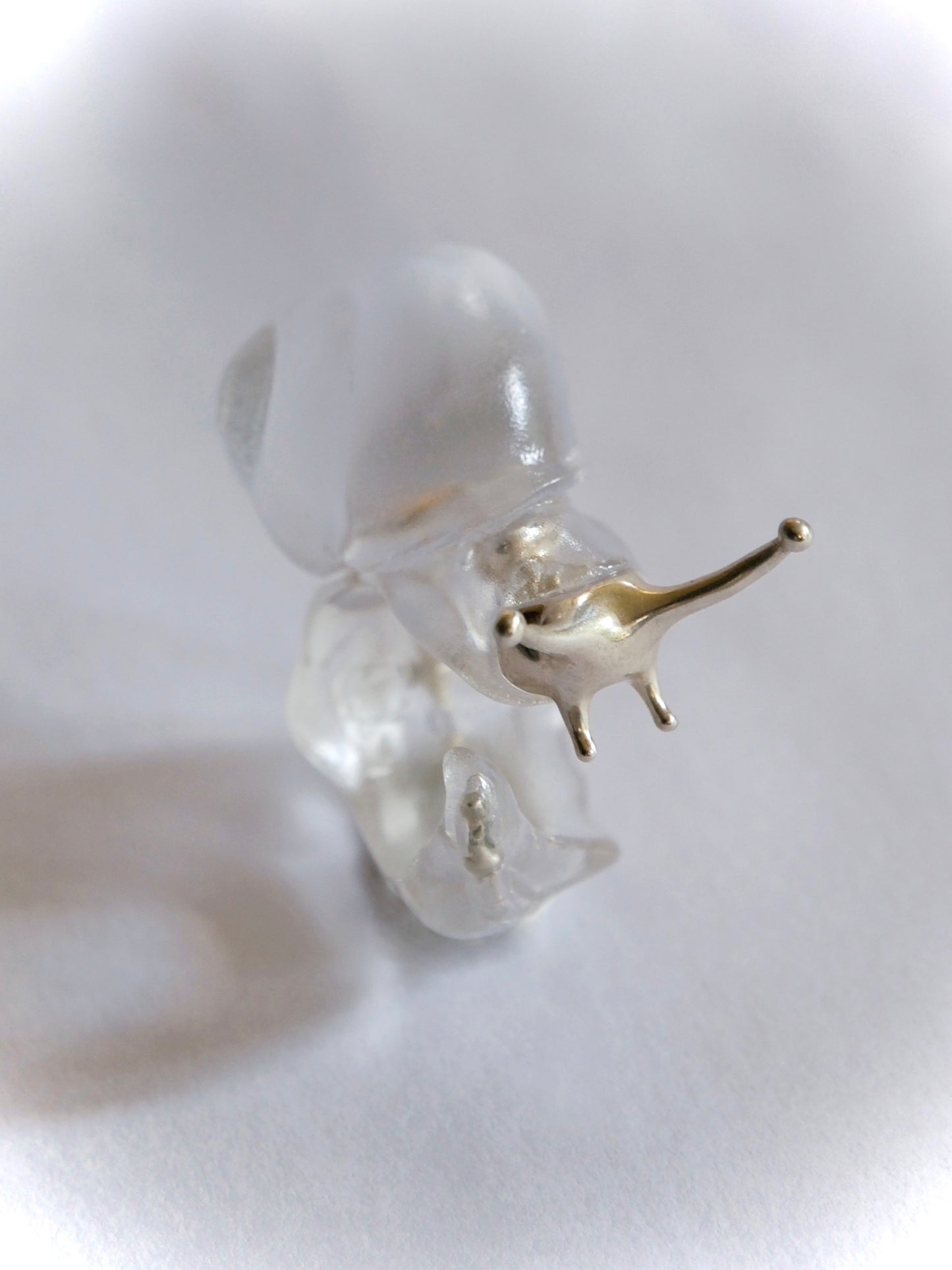 Silver spine snail ring
