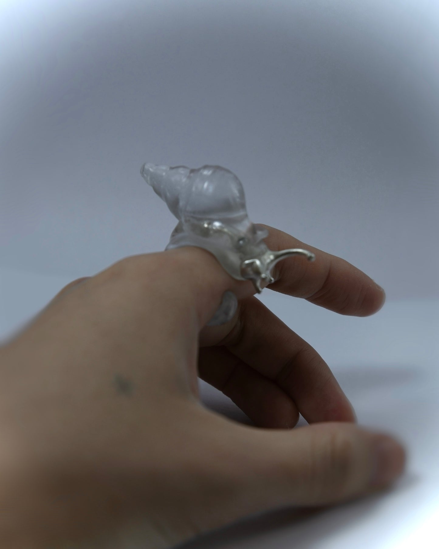 Silver spine snail ring