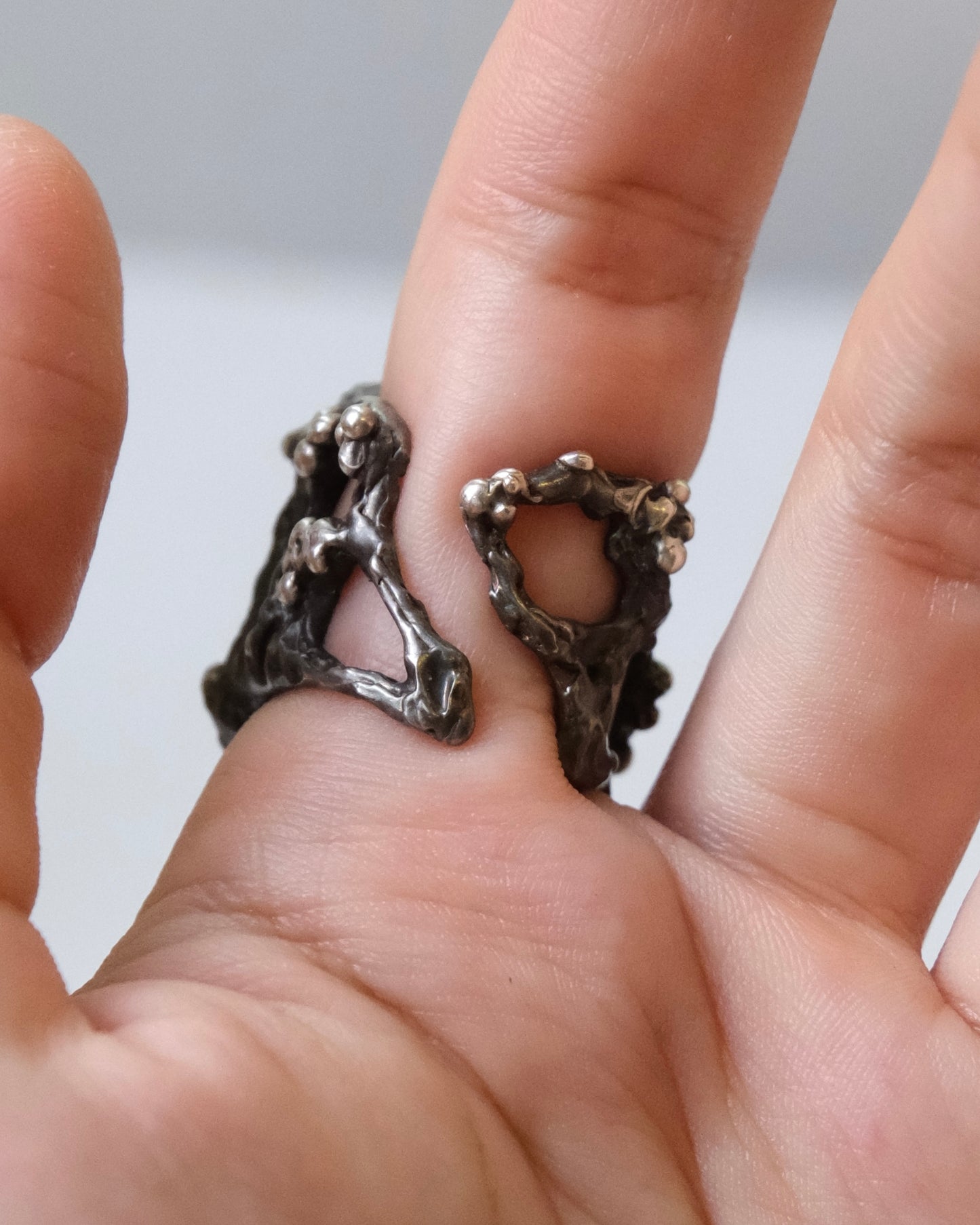 Ant Brood Ring