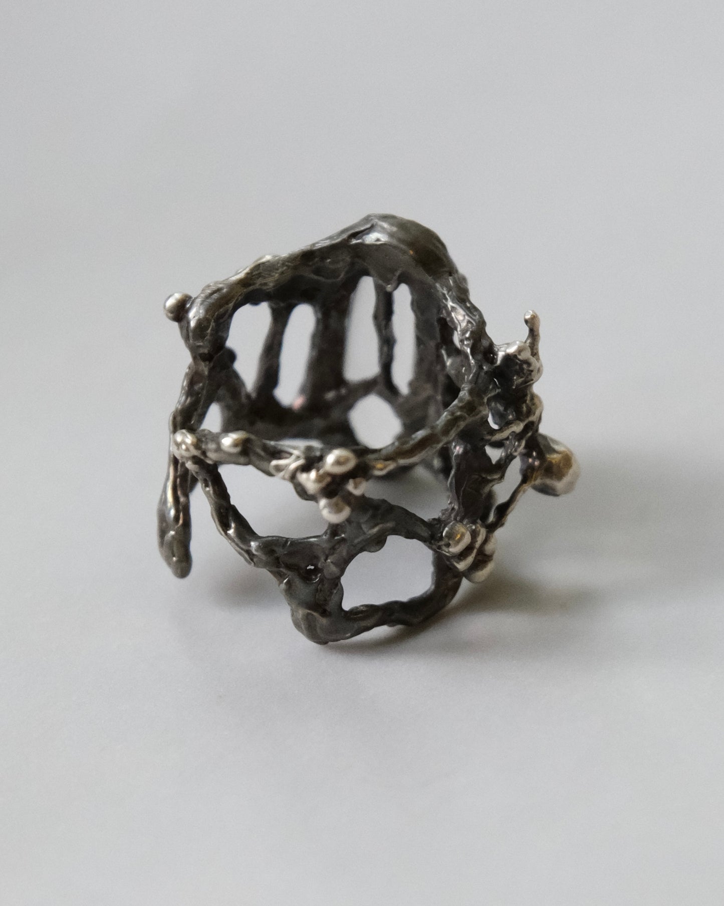 Ant Brood Ring