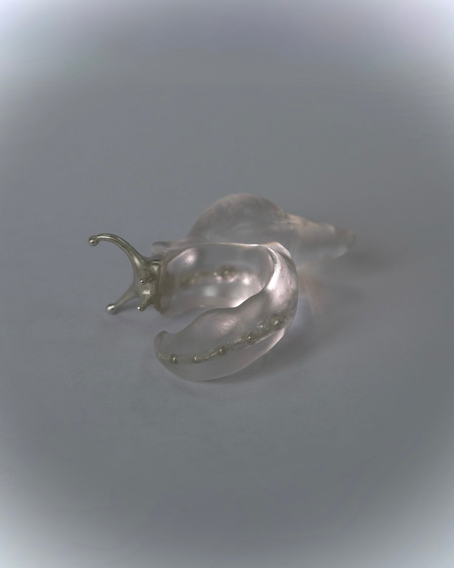 Silver spine snail ring