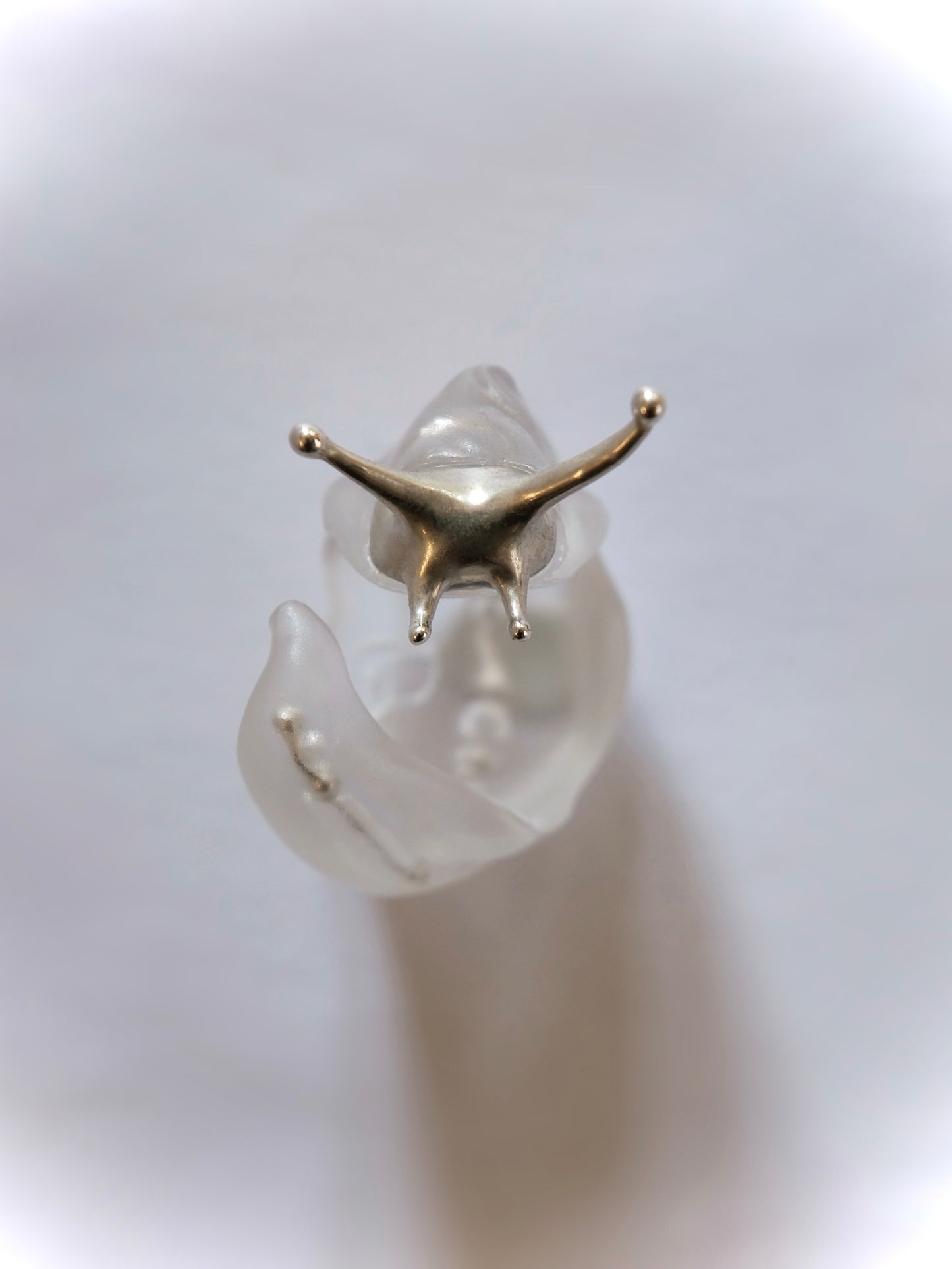 Silver spine snail ring Shell-less edition