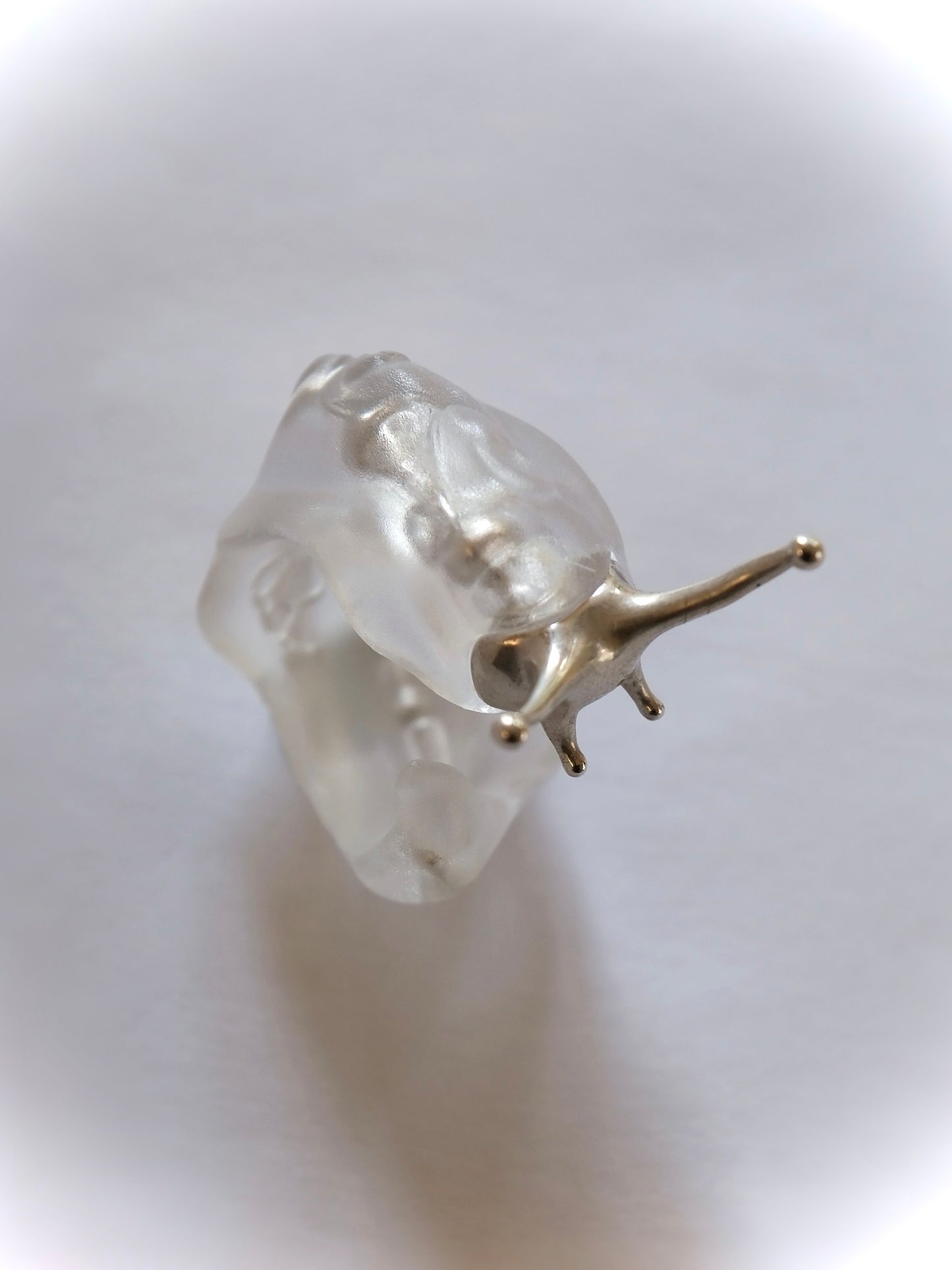 Silver spine snail ring Shell-less edition